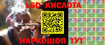 PSILOCYBIN Будённовск